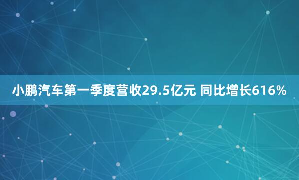 小鹏汽车第一季度营收29.5亿元 同比增长616%